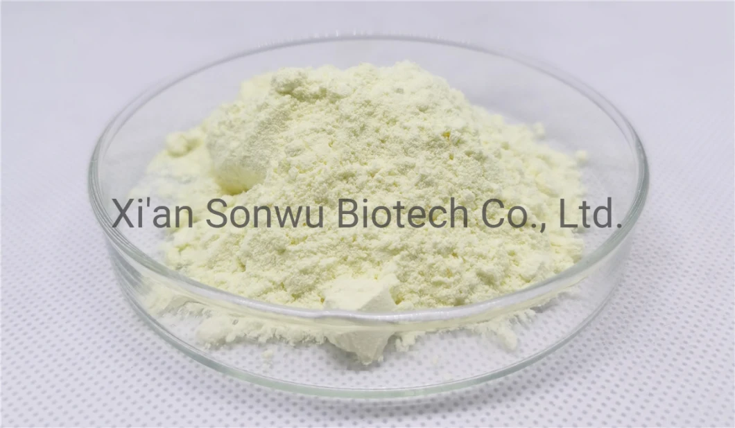 Sonwu Supply Additives Anti-Estrogen Raloxifene Hydrochloride