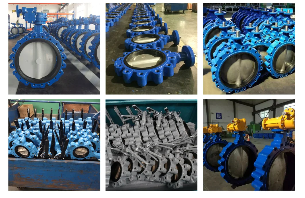 Hot Selling Ss Stainless Steel Worm Gear Bare Shaft Pn10 Pn16 Drilling Full Lugged Type API/ANSI/DIN/JIS Butterfly Control Valves with Slim Disc Two Shaft